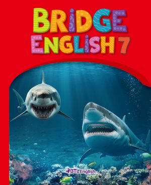 Bridge English Red_7