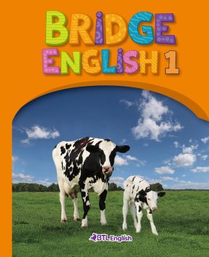 Bridge English Orange_1