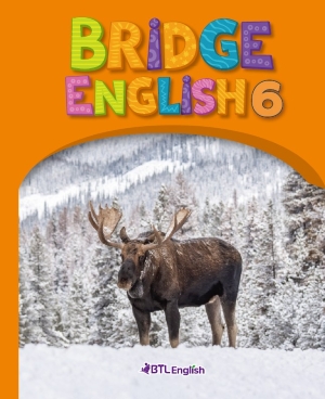 Bridge English Orange_6