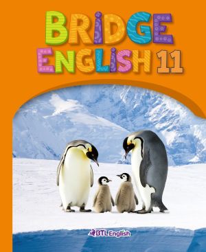 Bridge English Orange_11