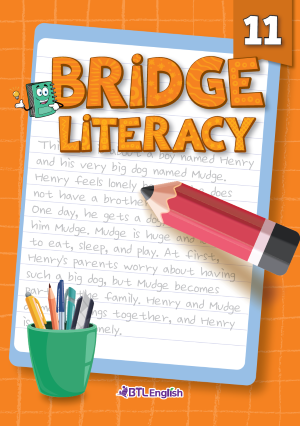 Bridge Literacy Orange_11